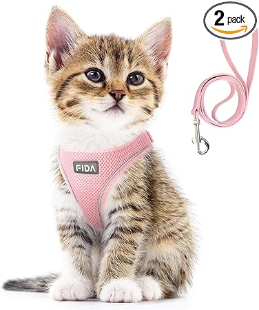Fida Cat Harness and Leash Set for Walking Kitten and Puppy, Escape Proof Kitten Harness with Breathable Lightweight Soft Mesh, Adjustable Reflective Step-in Design. (XXXS, Pink)