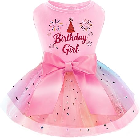 Dog Birthday Outfit for Small Dogs Girl Sparkly Rainbow Dog Birthday Dress Tulle with Big Bowknot Puppy Clothes Pink Fireworks Little Princess Pet Dress (S)