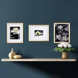 Mikasa Home Accents Gallery Frames, Set of 3