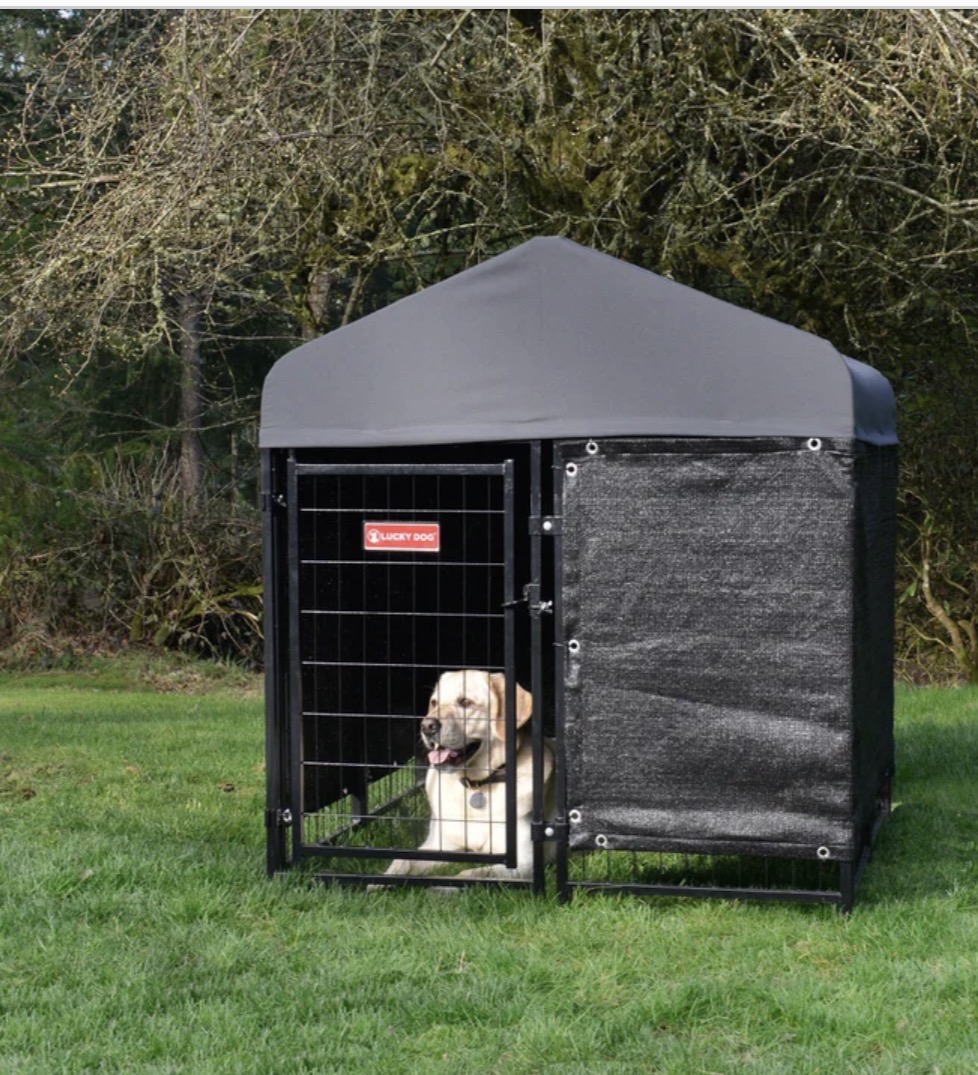 Lucky Dog STAY Series Studio Jr. Dog Kennel 4'x4' with Privacy Screen