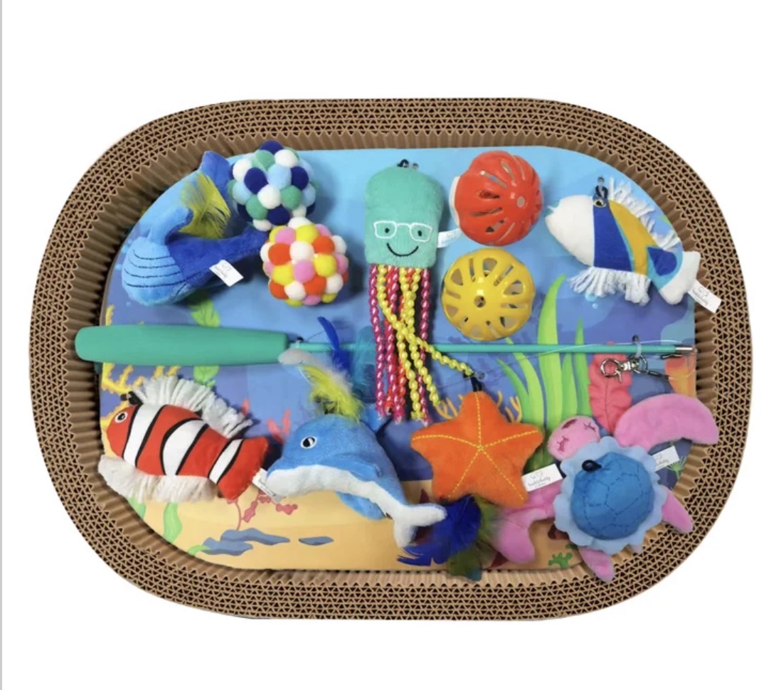 Buddy Buddy Cat Scratcher Bed and Toys, 13-piece Set