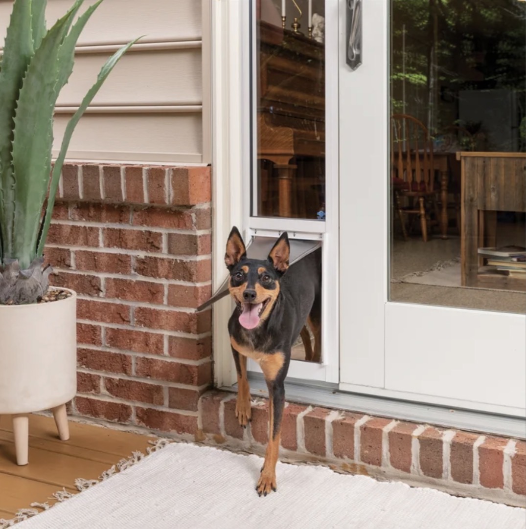 PetSafe Sliding Glass Pet Door, 2-Piece, Medium