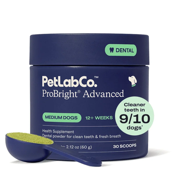 PetLab Co. ProBright Advanced Dental Powder - Award Winning Dog Breath Freshener - Teeth Cleaning Made Easy – Targets Tartar & Bad Breath - Formulated for Medium Size Dogs